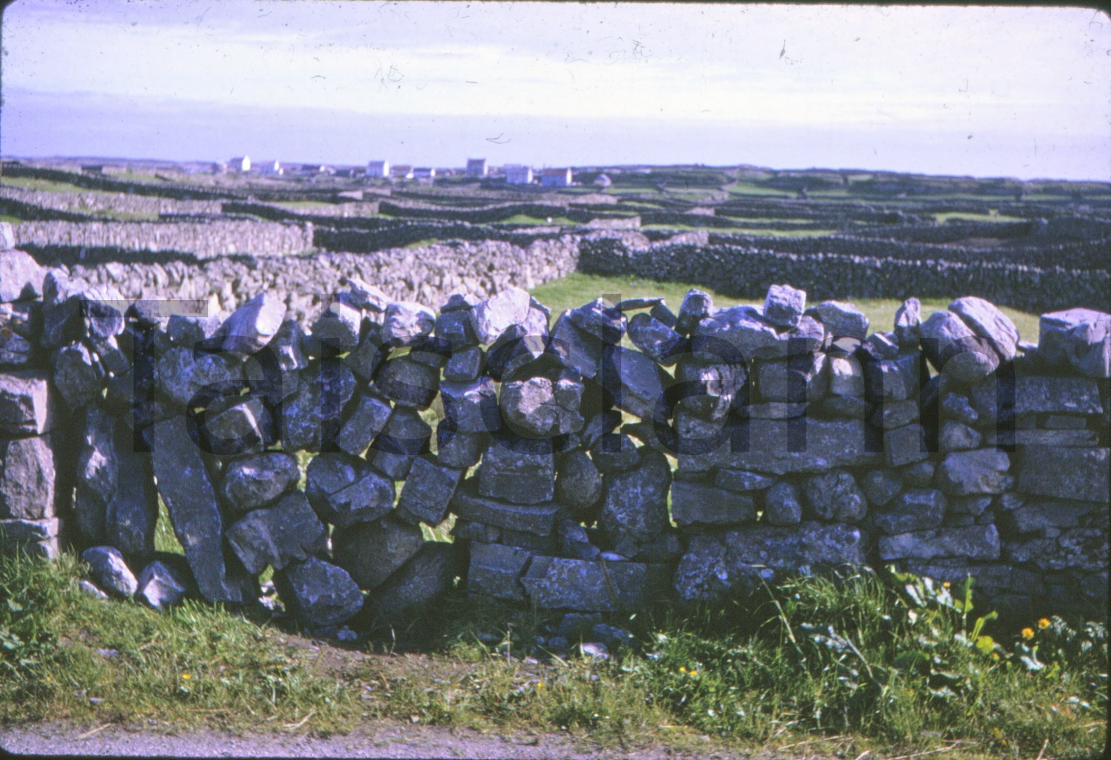 Stone walls on Aran Island.