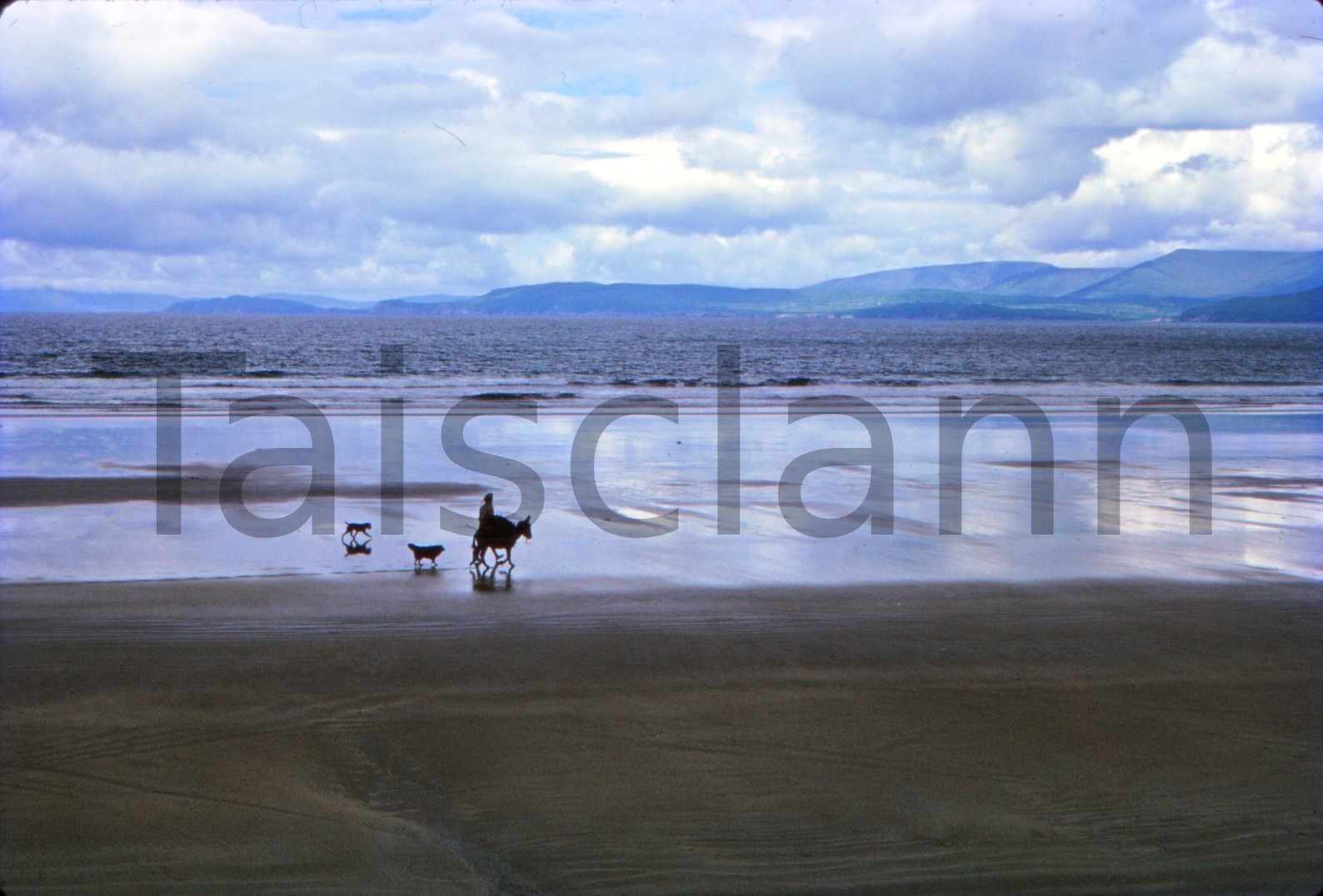 Rossbeigh Strand, Co.Kerry.