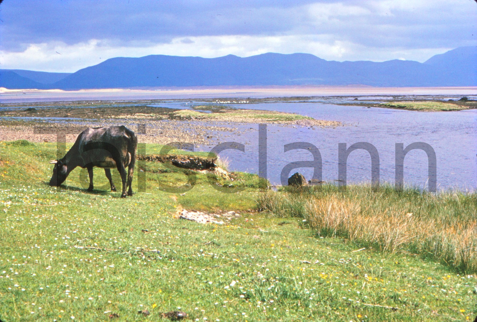 Dingle Bay, Co.Kerry.