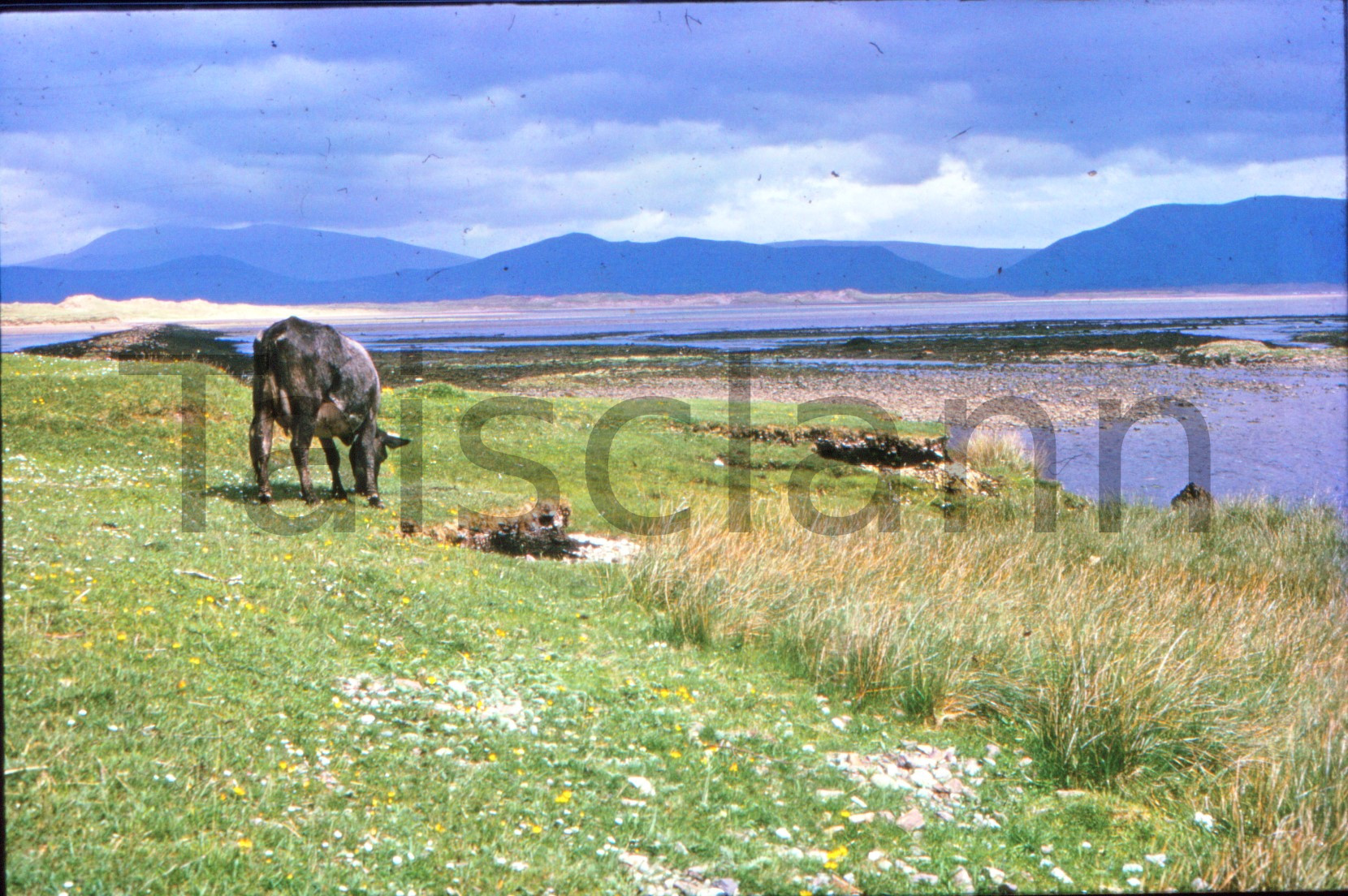 Dingle Bay, Co.Kerry.