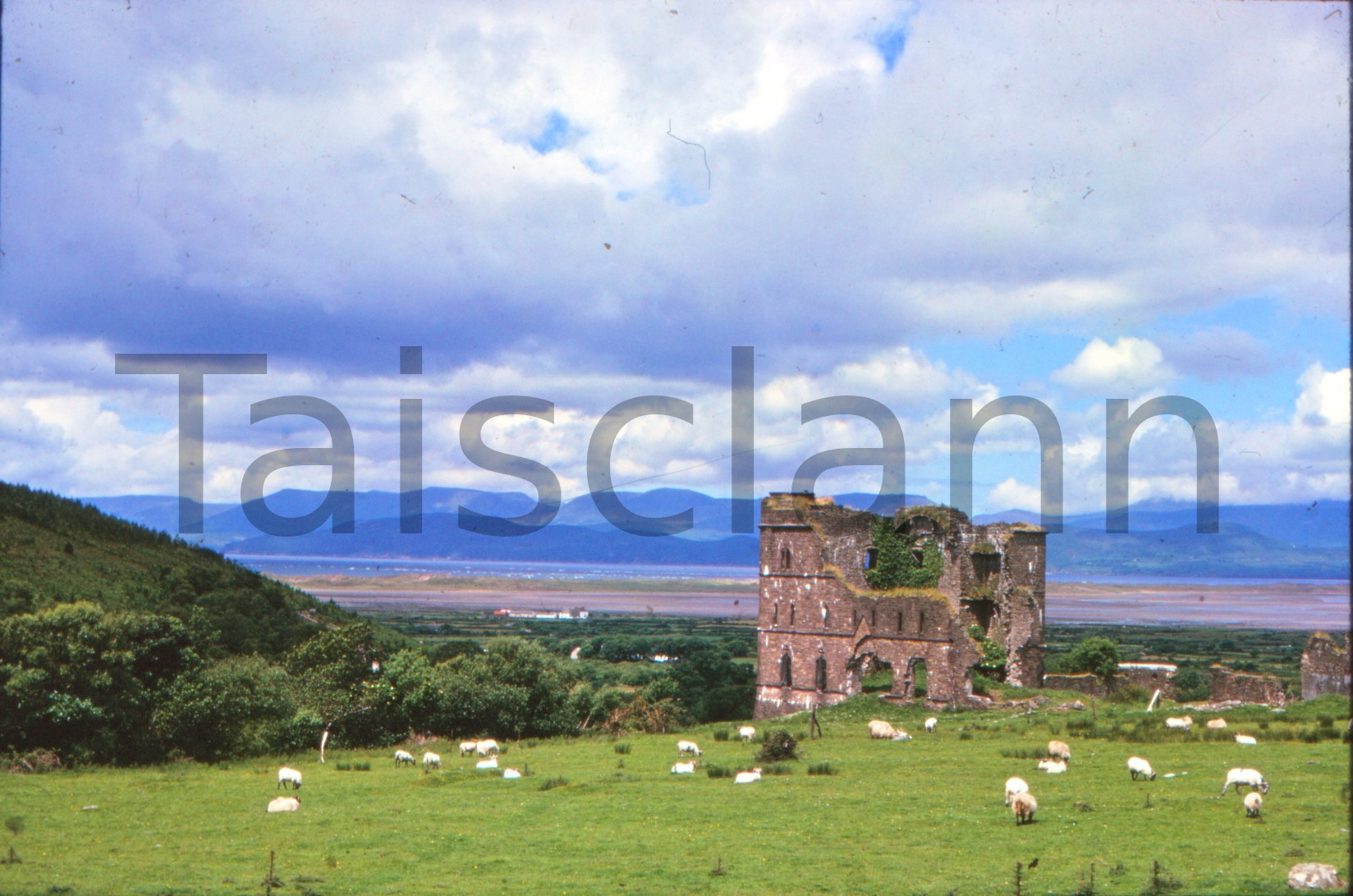 Glenbeigh Towers (Wynne's Folly), Co.Kerry.