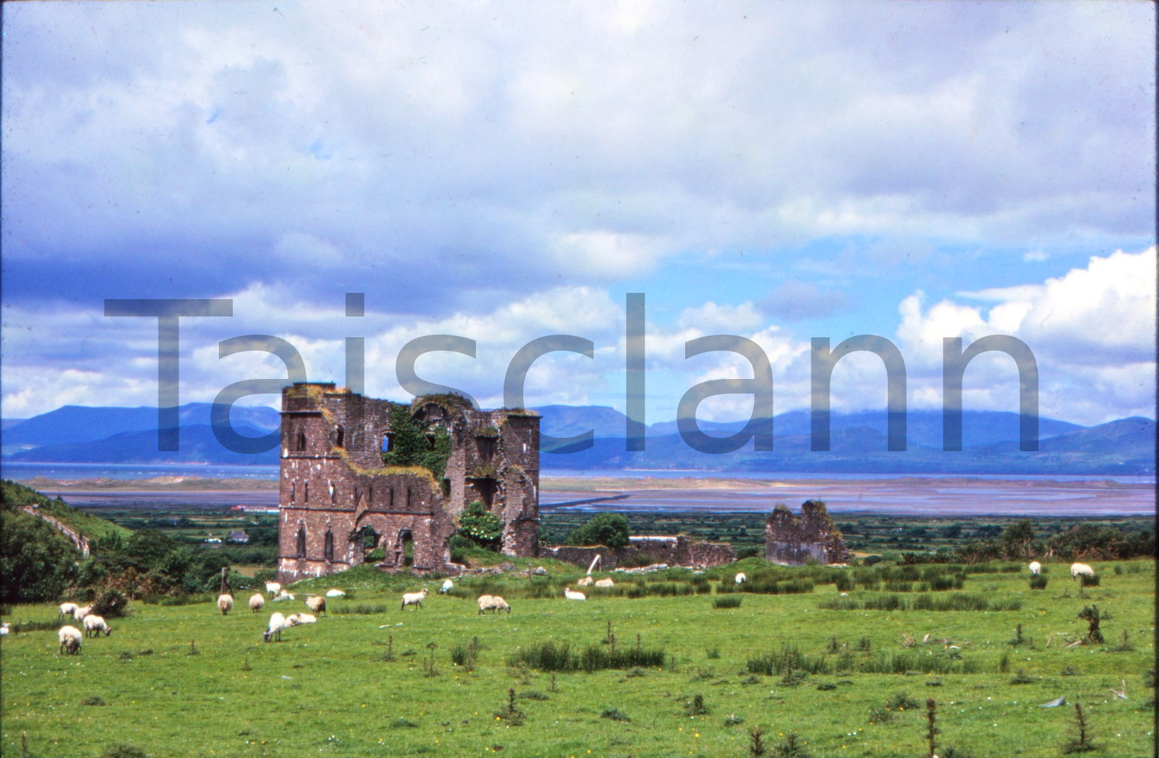 Glenbeigh Towers (Wynne's Folly), Co.Kerry.