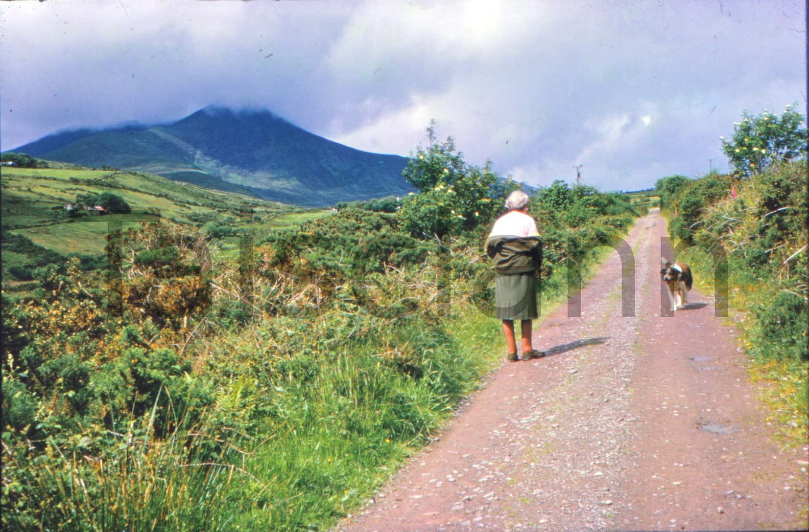 Out for a stroll and meeting the dog - Co.Kerry.