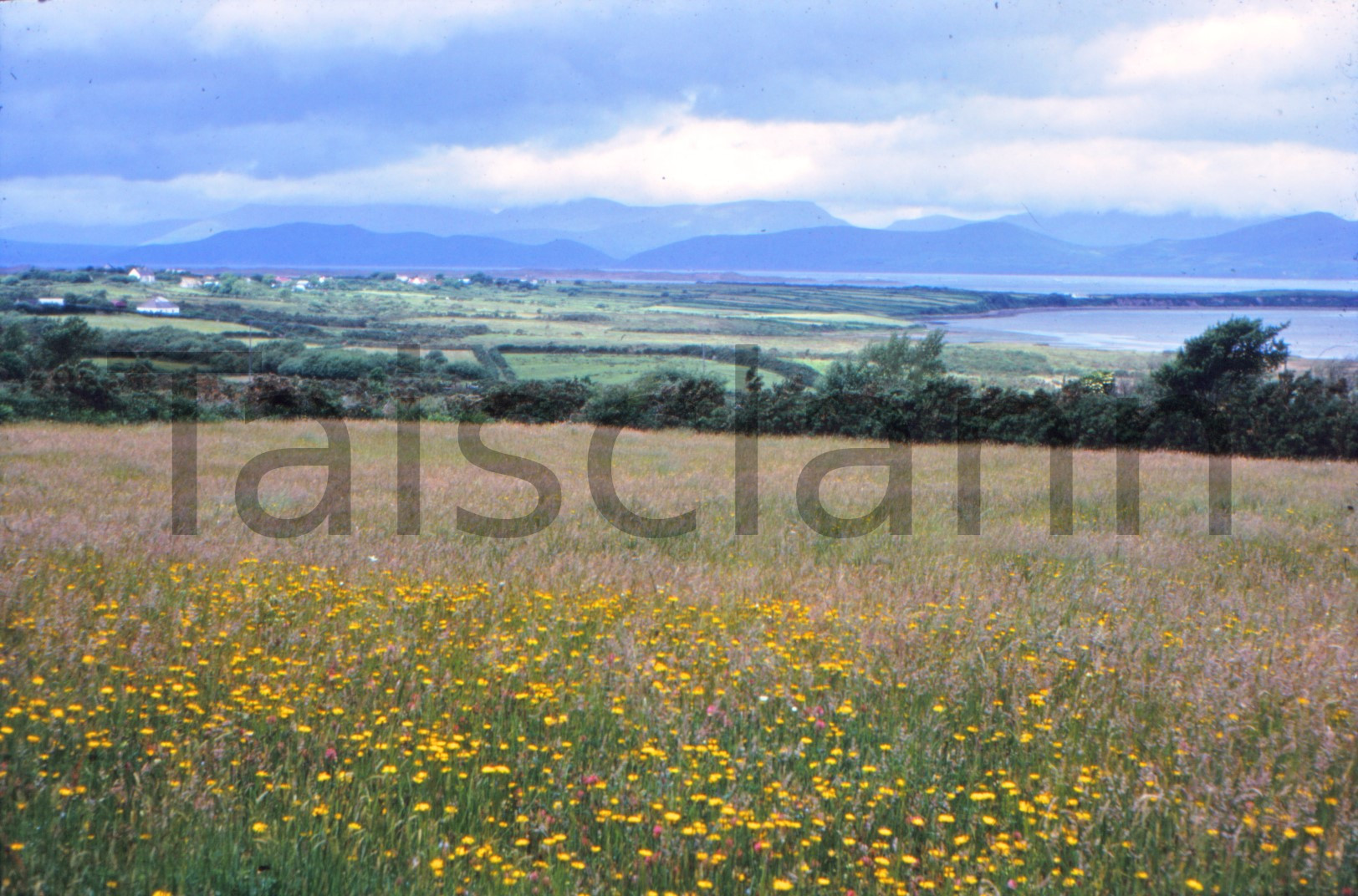 Dingle, County Kerry.