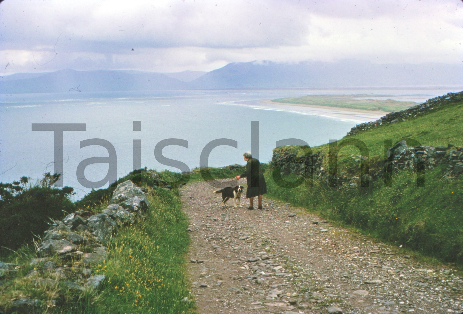 Dingle Bay, Co.Kerry.