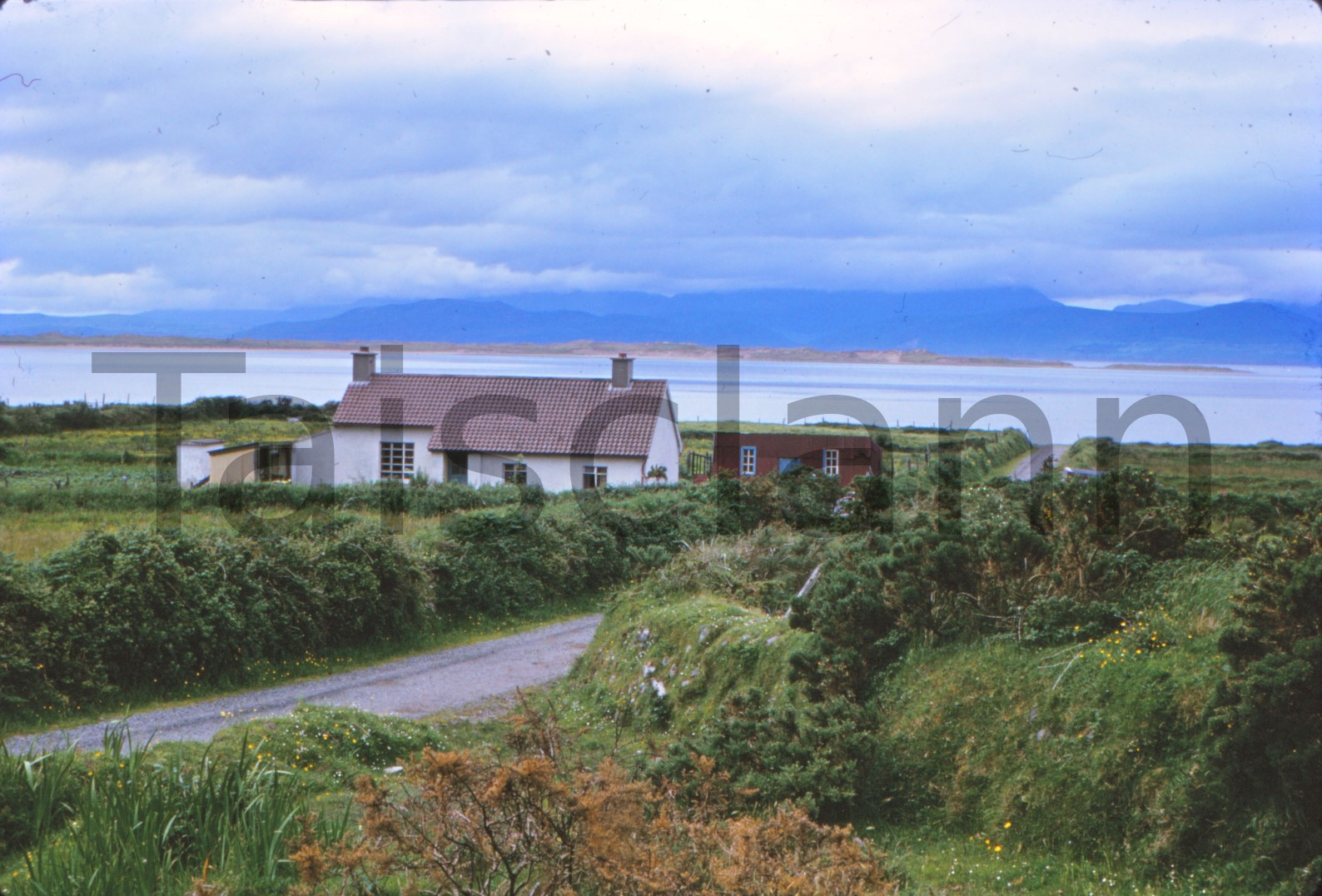 Dingle Bay, Co.Kerry.