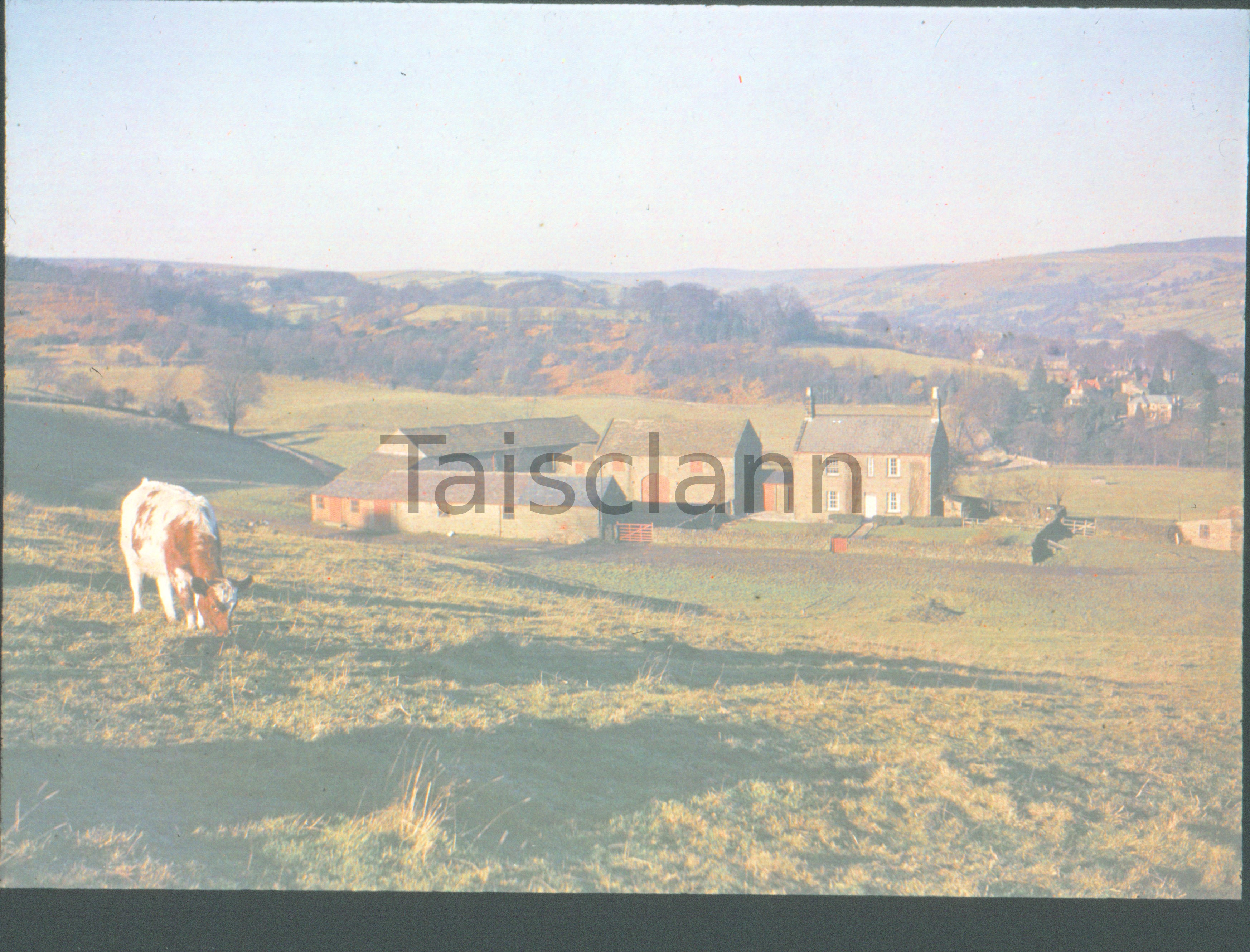 Out in the fields - somewhere in England.