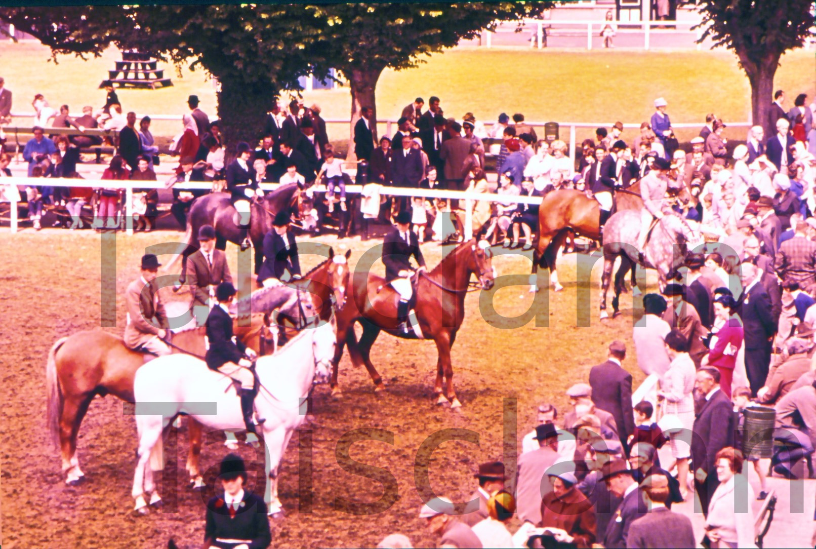 Dublin Horse Show.