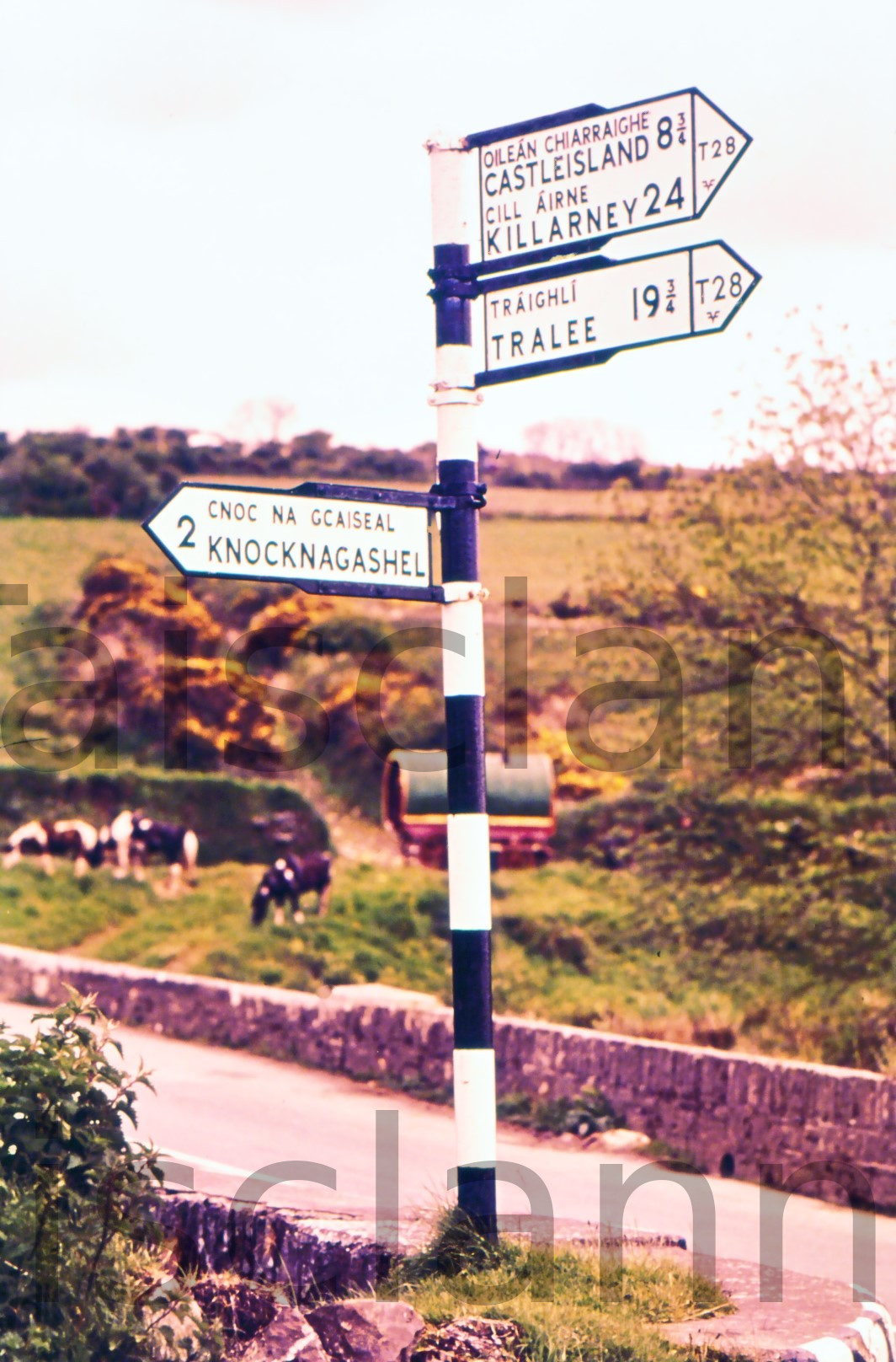 Bilingual Signposts.