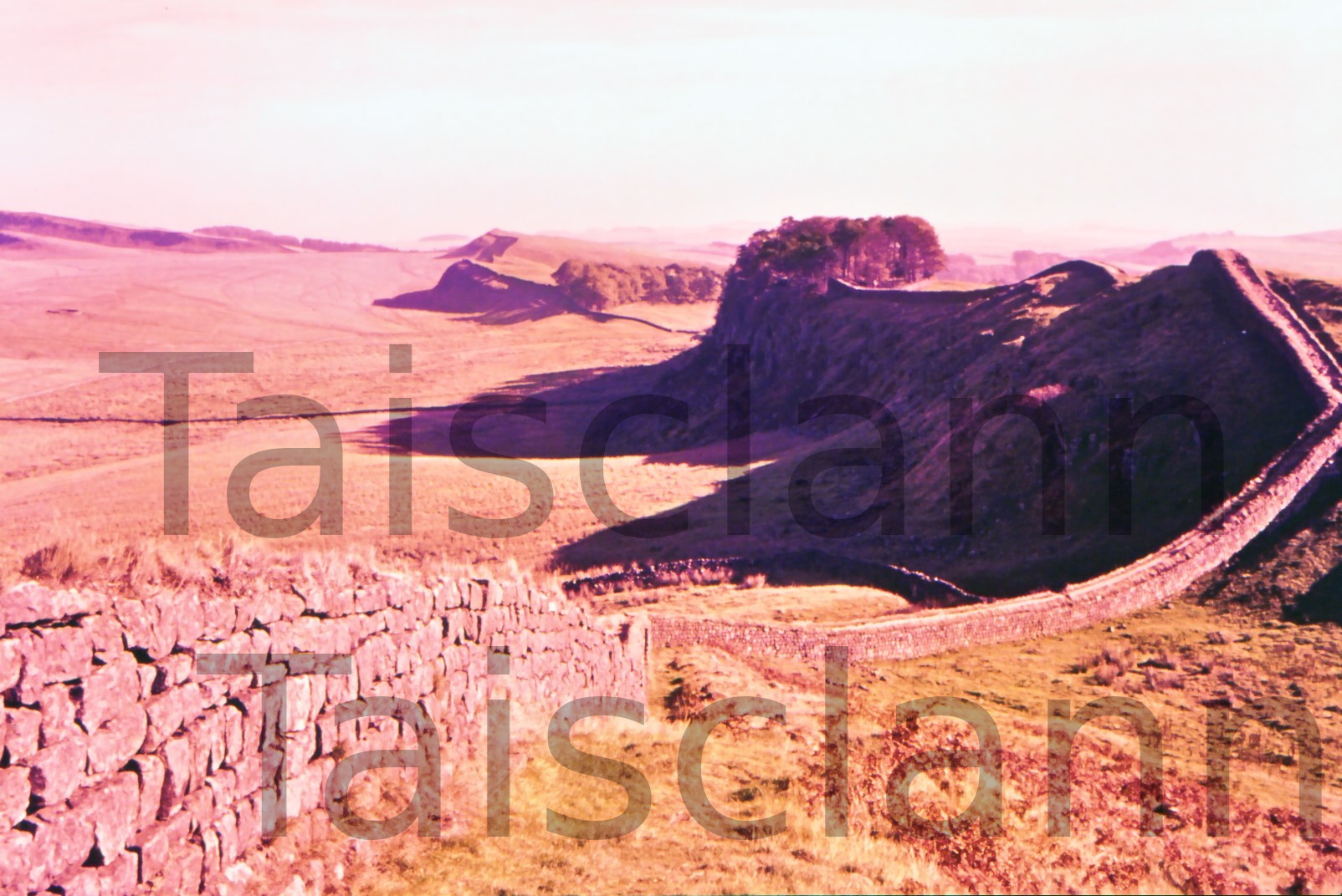 Hadrian's Wall - Klett Collection - Photographer (Margaret Kierney).