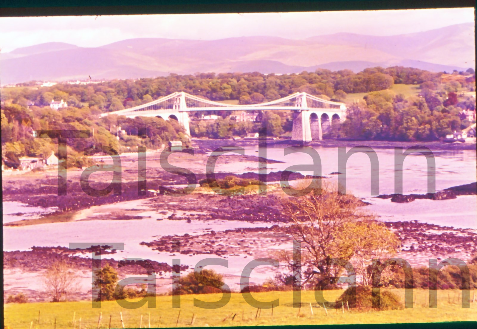 Menai suspension Bridge. - Klett Collection - Philip N Hewitt (Photographer).