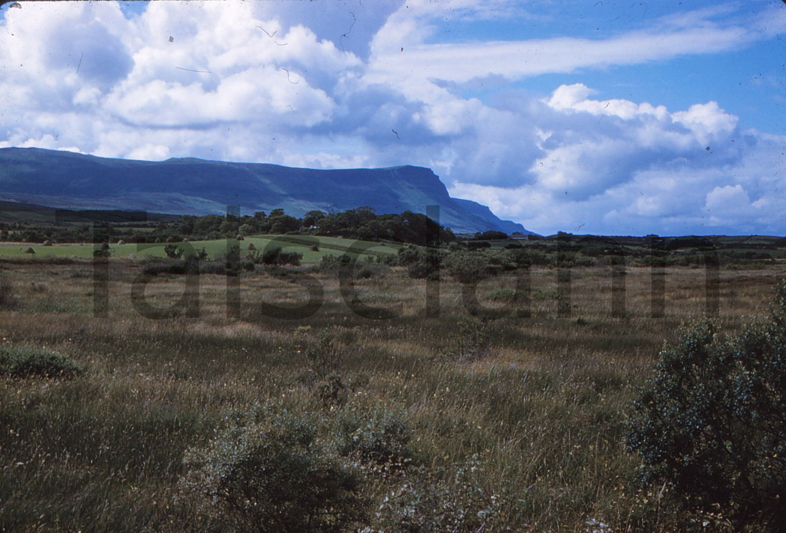 near Bundoran, Co.Donegal.