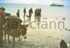 Men and donkey at the shore on Aran Island.