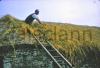 Thatching a roof in Donegal.