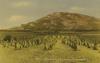 Binon Mountain, Clonmany, County Donegal