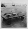 The Dolphin on the trailer.