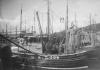 'The Rising Sea' and 'Vernal' fishing trawlers.