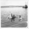Competitors in the water in Burtonport.