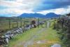 Donkey track in Connemara.