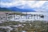 At the shore in Co.Kerry.