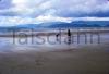 With my dog on Rossbeigh Strand, Co.Kerry.