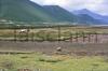 Unspoiled countryside of Co.Kerry.