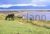 Dingle Bay, Co.Kerry.