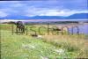 Dingle Bay, Co.Kerry.