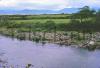 The water moving on - stream in Co.Kerry.