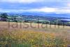 Kerry landscape.