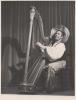 A person playing the harp