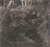 Small stream