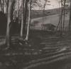 Woodland and hill