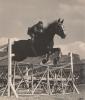 A horse jumping over a fence