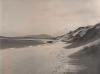 Beach and sand dunes