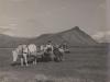 Children with horse and cart