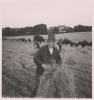 A man harvesting corn