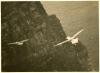 Fulmar Petrels in flight.