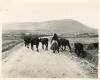 Near Cashel, Achill Island, Co. Mayo