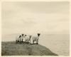 Clare Island, Co. Mayo 