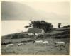 Lough NaFooey, Connemara 