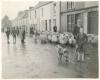 Killorglin. Co. Kerry