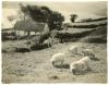 Lough NaFooey, Connemara 