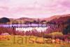 Lake Vyrnwy Dam. - Klett Collection - Philip N Hewitt (Photographer).