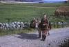 A young boy with a donkey on Achill Island.