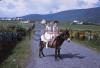 Young girls on donkeyback, Achill Island.