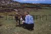 Sue and a donkey on Achill Island.