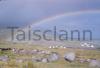 Rainbow and geese at Bloody Foreland, Gweedore.