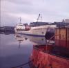 The Docks, Galway