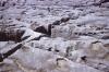 Burren - Rocks